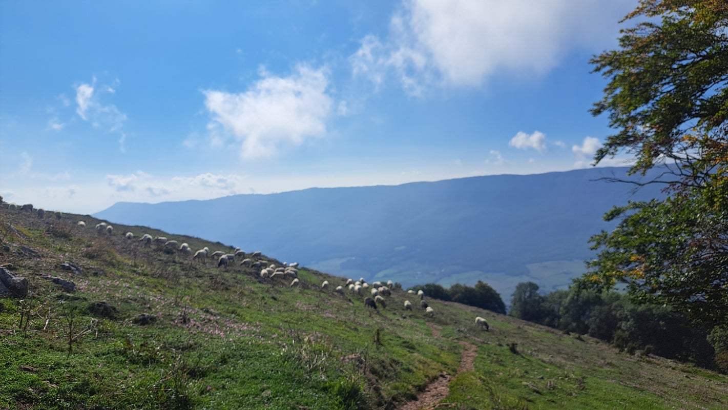Ruta a la cima de Artxueta
