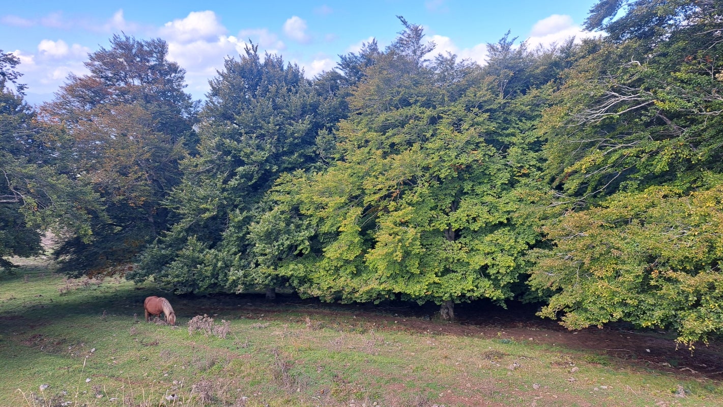 Ruta a la cima de Artxueta