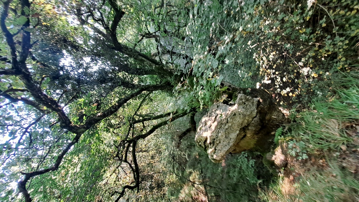 Ruta a la cima de Artxueta