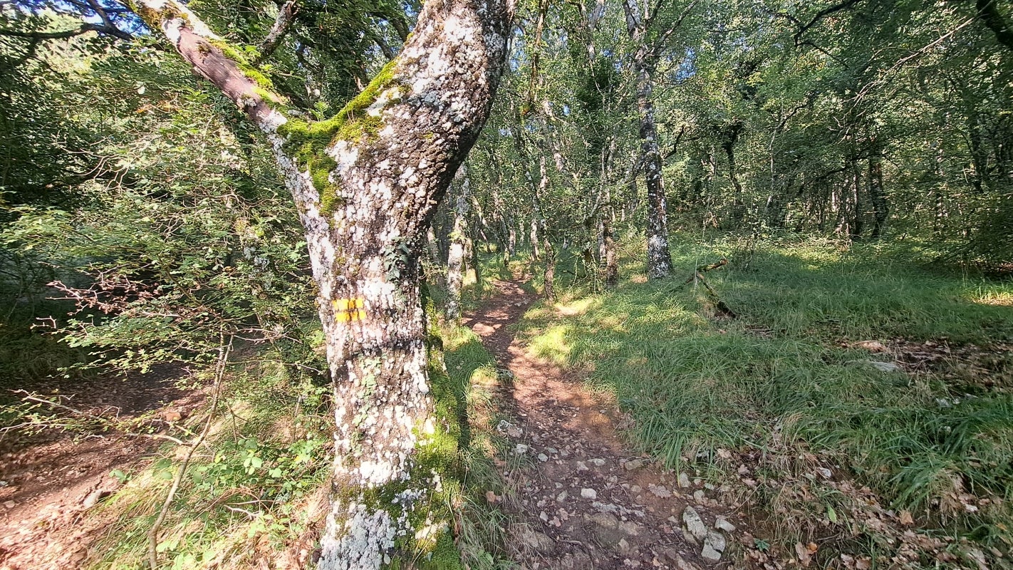 Ruta a la cima de Artxueta