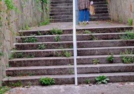 Escribe Iñaki M.: «Antes se cortaba la hierba tanto de los jardines como de las aceras más a menudo. ¿Qué está pasando últimamente? ¿Tiene culpa de esto el consistorio? La calle Mantulene está totalmente abandonada, las aceras parecen jardines. Hay bastantes personas mayores que corren peligro».