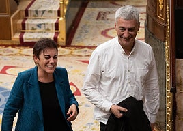 Mertxe Aizpurua y Oskar Matute, diputado de EH Bildu, en el Congreso.