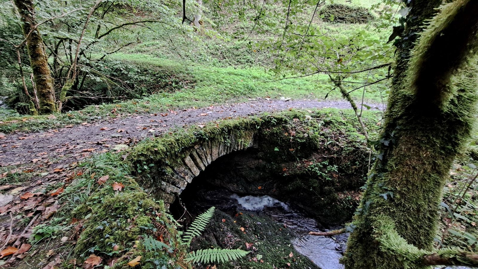 Pagoeta: un paraíso natural