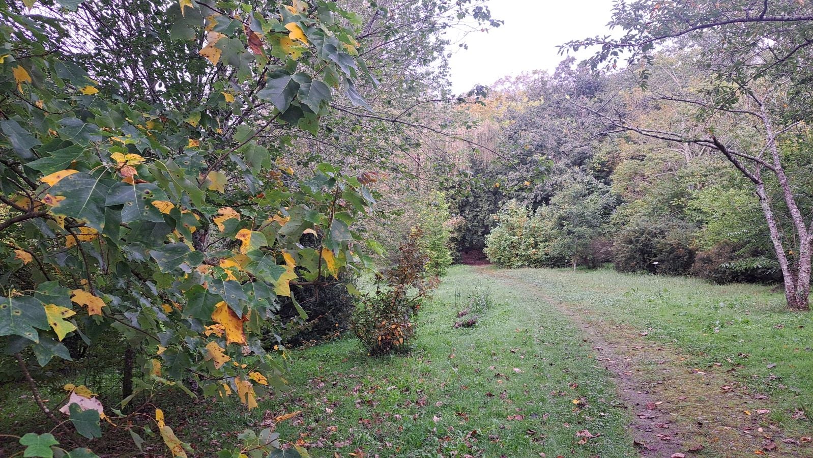 Pagoeta: un paraíso natural