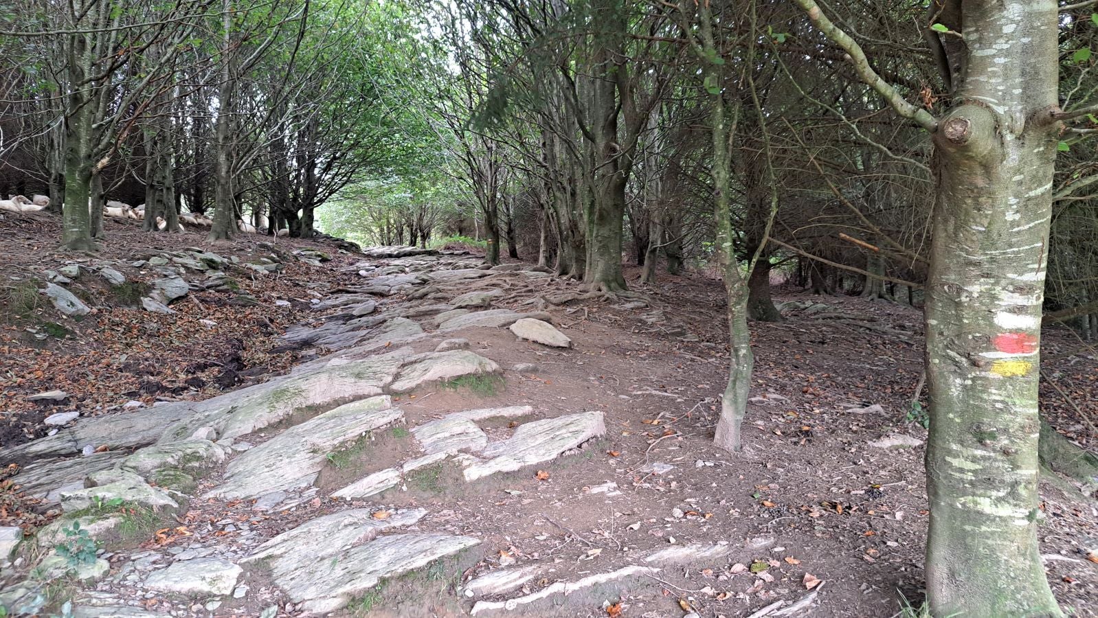 Pagoeta: un paraíso natural