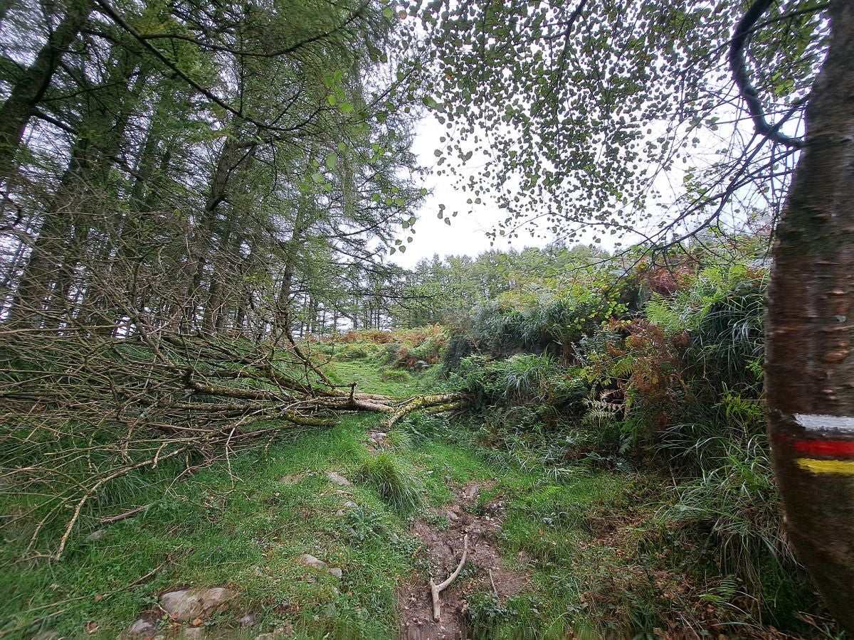 Pagoeta: un paraíso natural