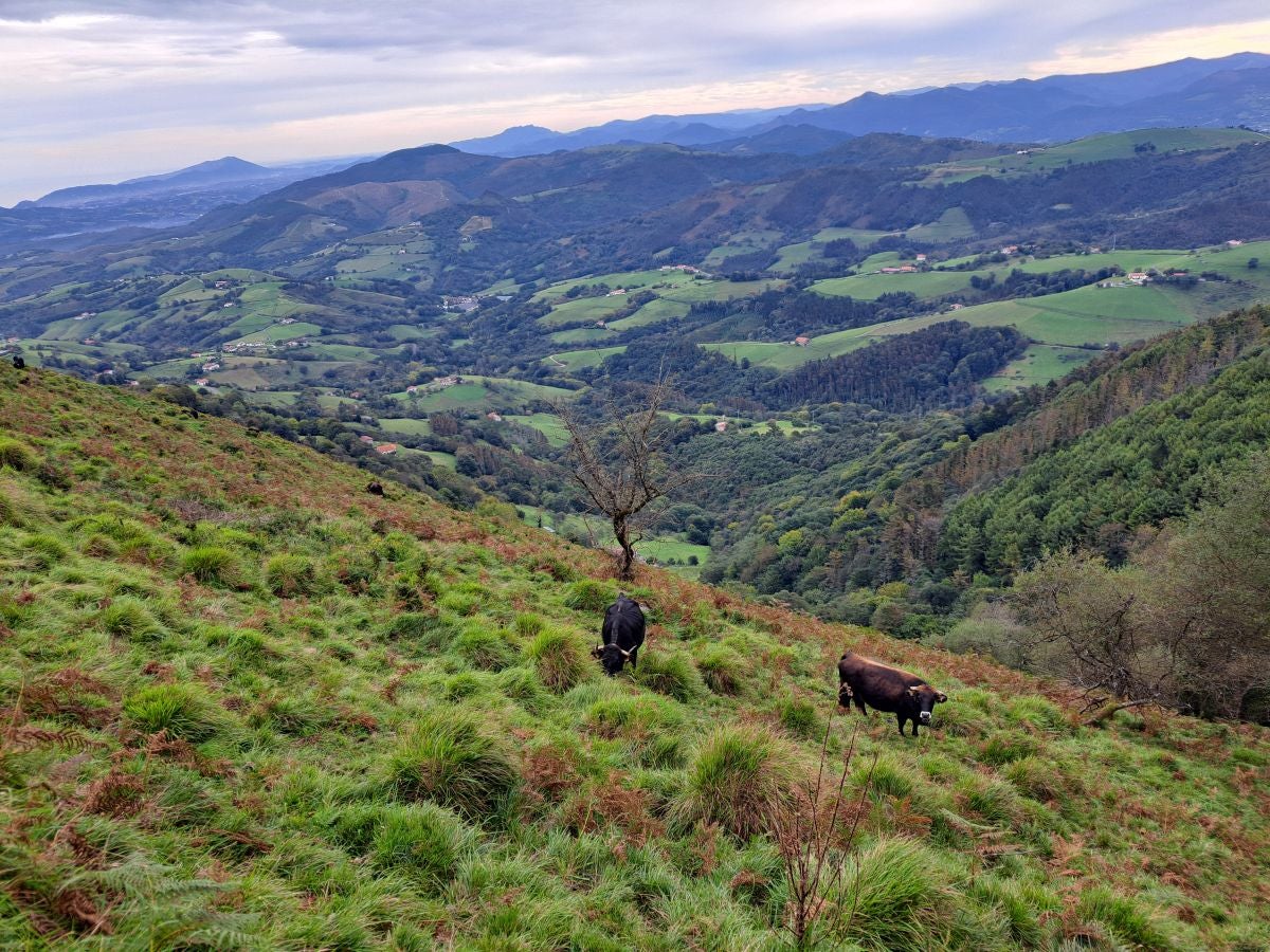 Pagoeta: un paraíso natural