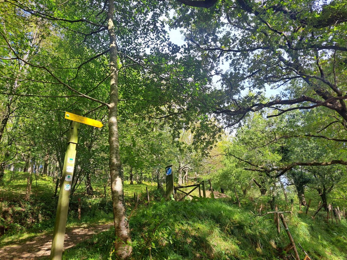 Pagoeta: un paraíso natural