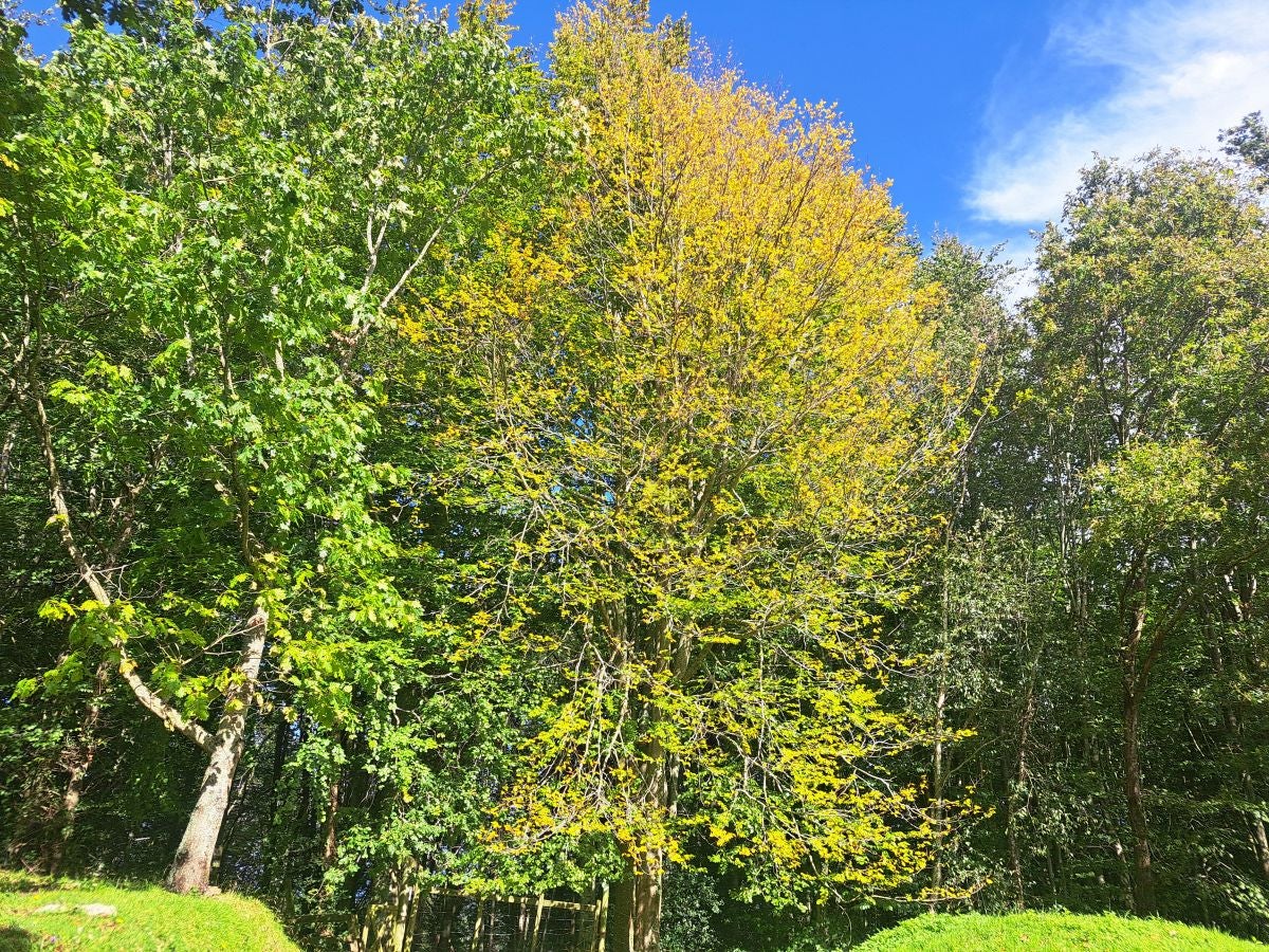 Pagoeta: un paraíso natural