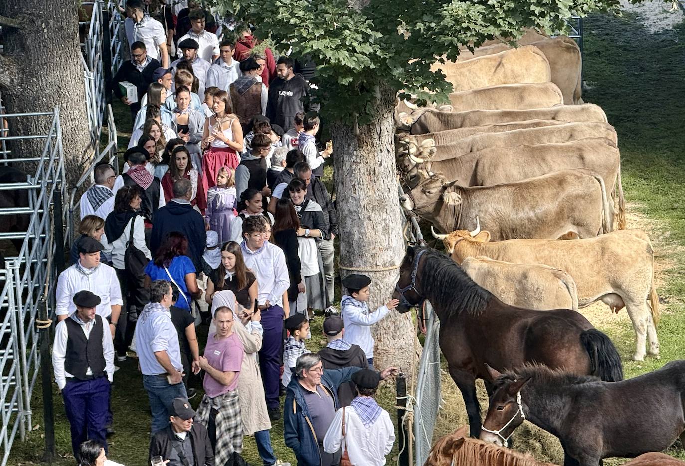 2.600 litros de sidra y 2.000 talos en un txotx multitudinario