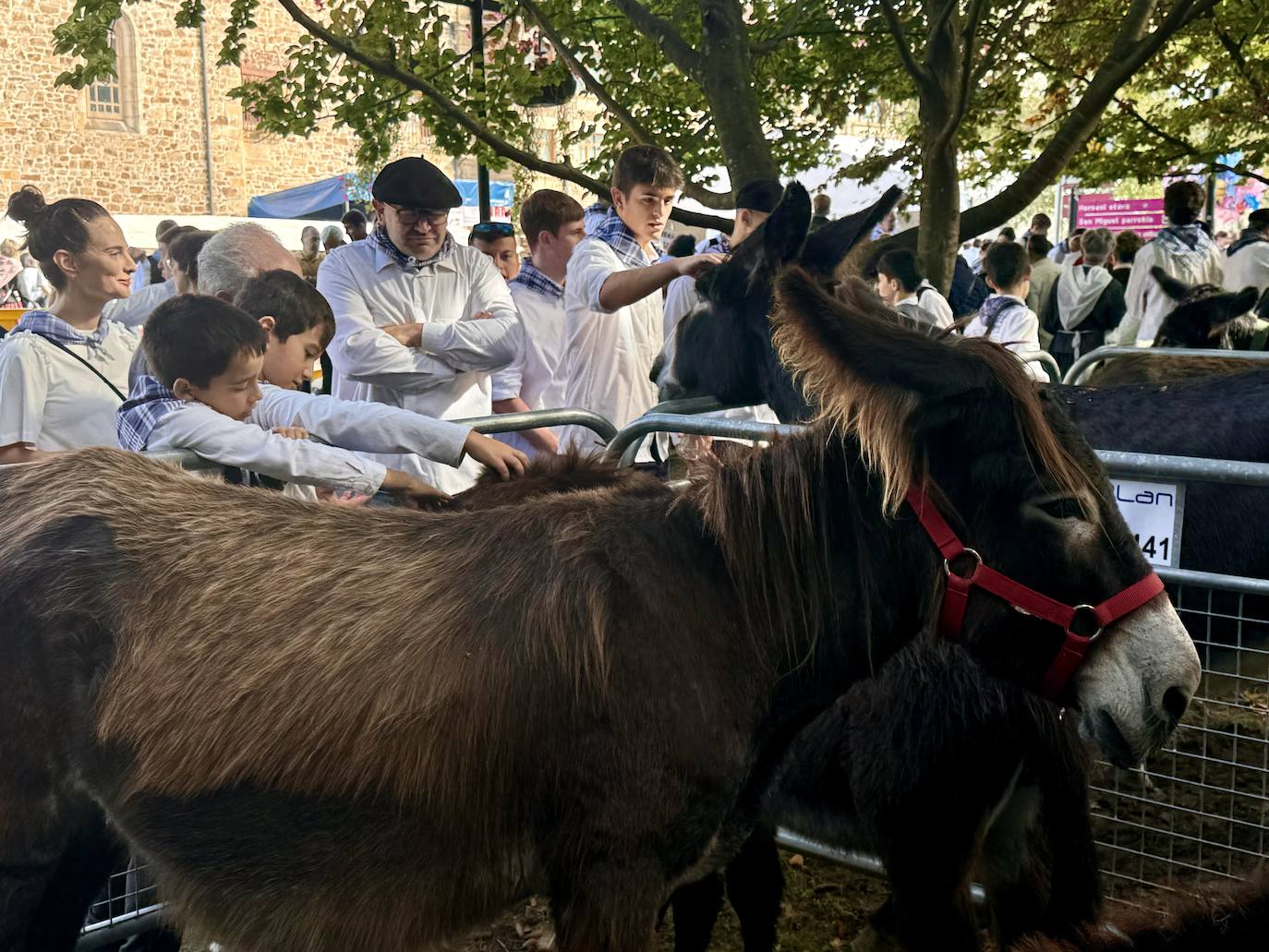 2.600 litros de sidra y 2.000 talos en un txotx multitudinario