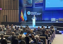 Conferencia Internacional de Naciones Unidas sobre Víctimas del Terrorismo, esta mañana en Vitoria.