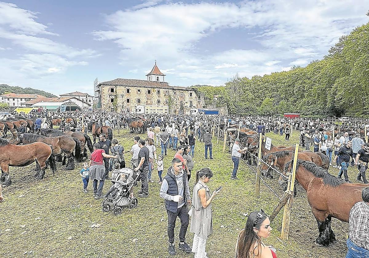 Hasta 151 ejemplares, muchos acompañados por sus crías, se pudieron ver el domingo en Urdazubi.