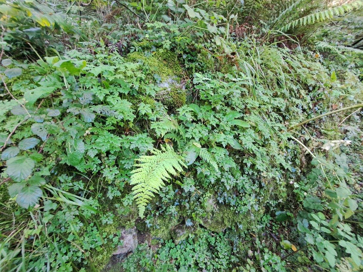 Visitamos Agerreburu, el mirador de Santa Bárbara