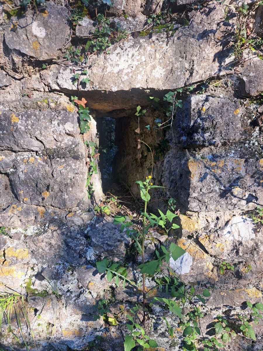Visitamos Agerreburu, el mirador de Santa Bárbara