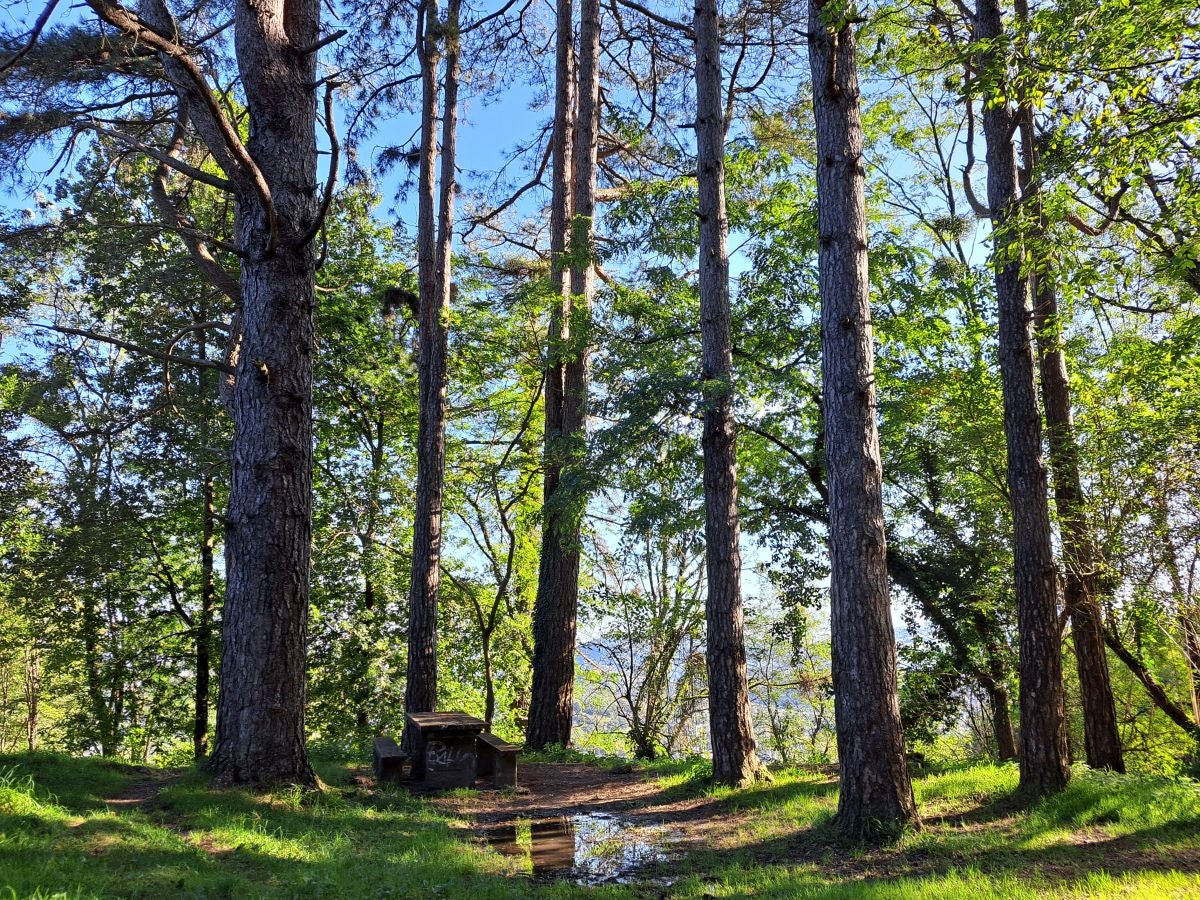 Visitamos Agerreburu, el mirador de Santa Bárbara