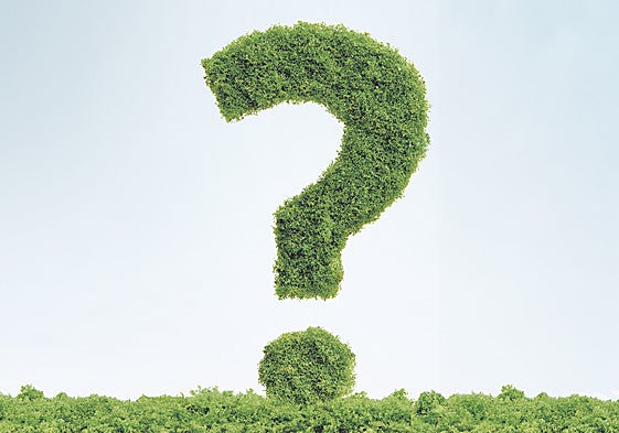 Un futuro verde exige salvar algunos obstáculos