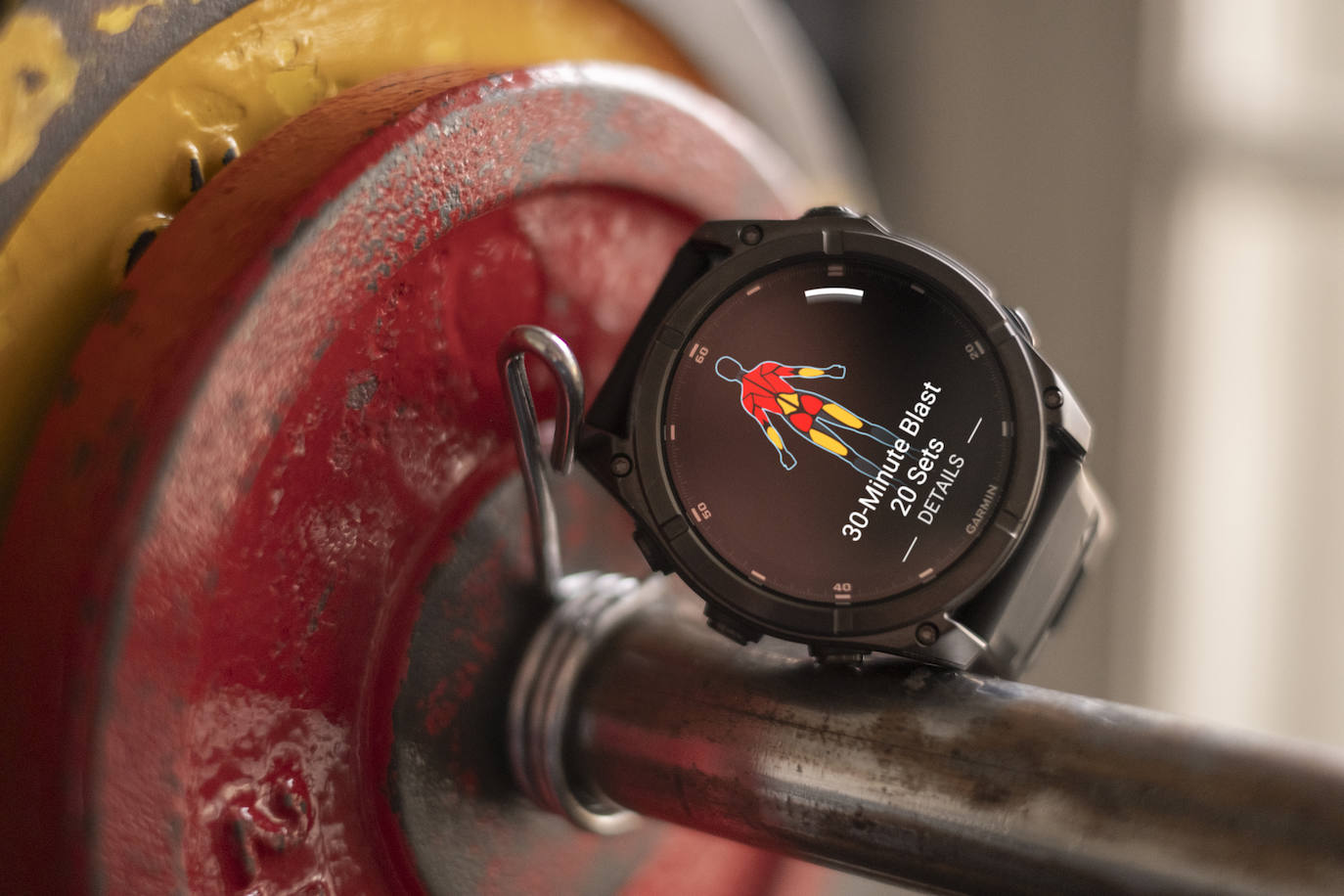 El Fénix 8 muestra los ejercicios a seguir de forma gráfica.