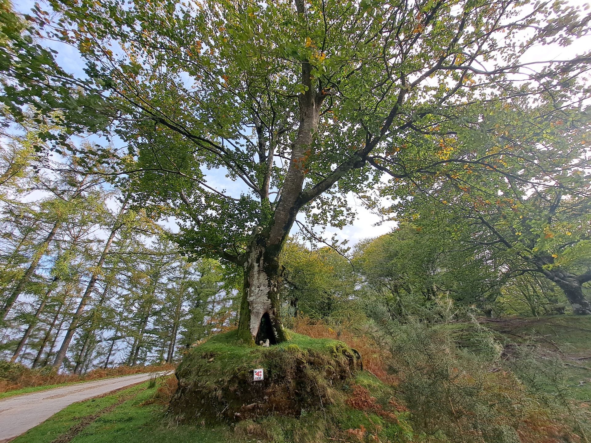 Las mejores imágenes de la ruta a Agiña