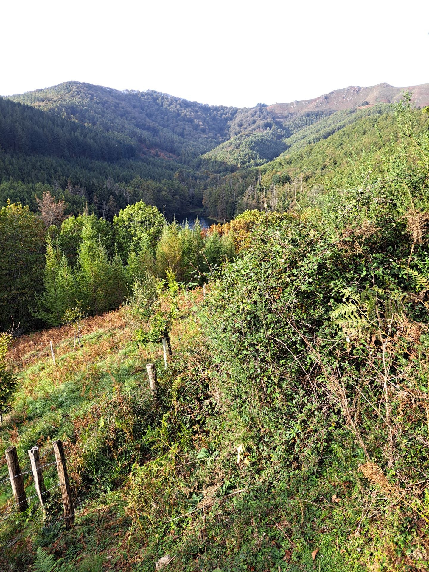 Las mejores imágenes de la ruta a Agiña