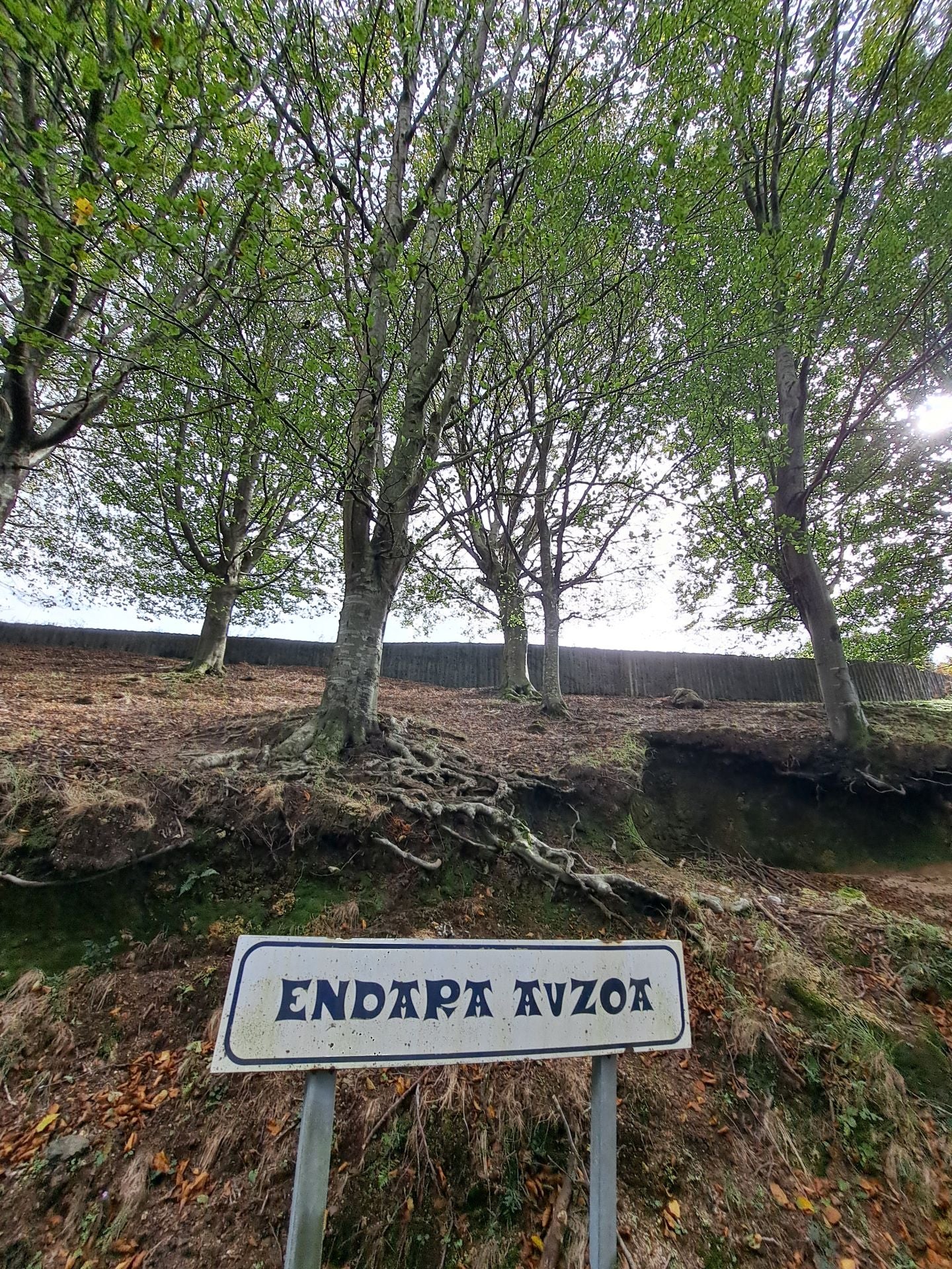 Las mejores imágenes de la ruta a Agiña