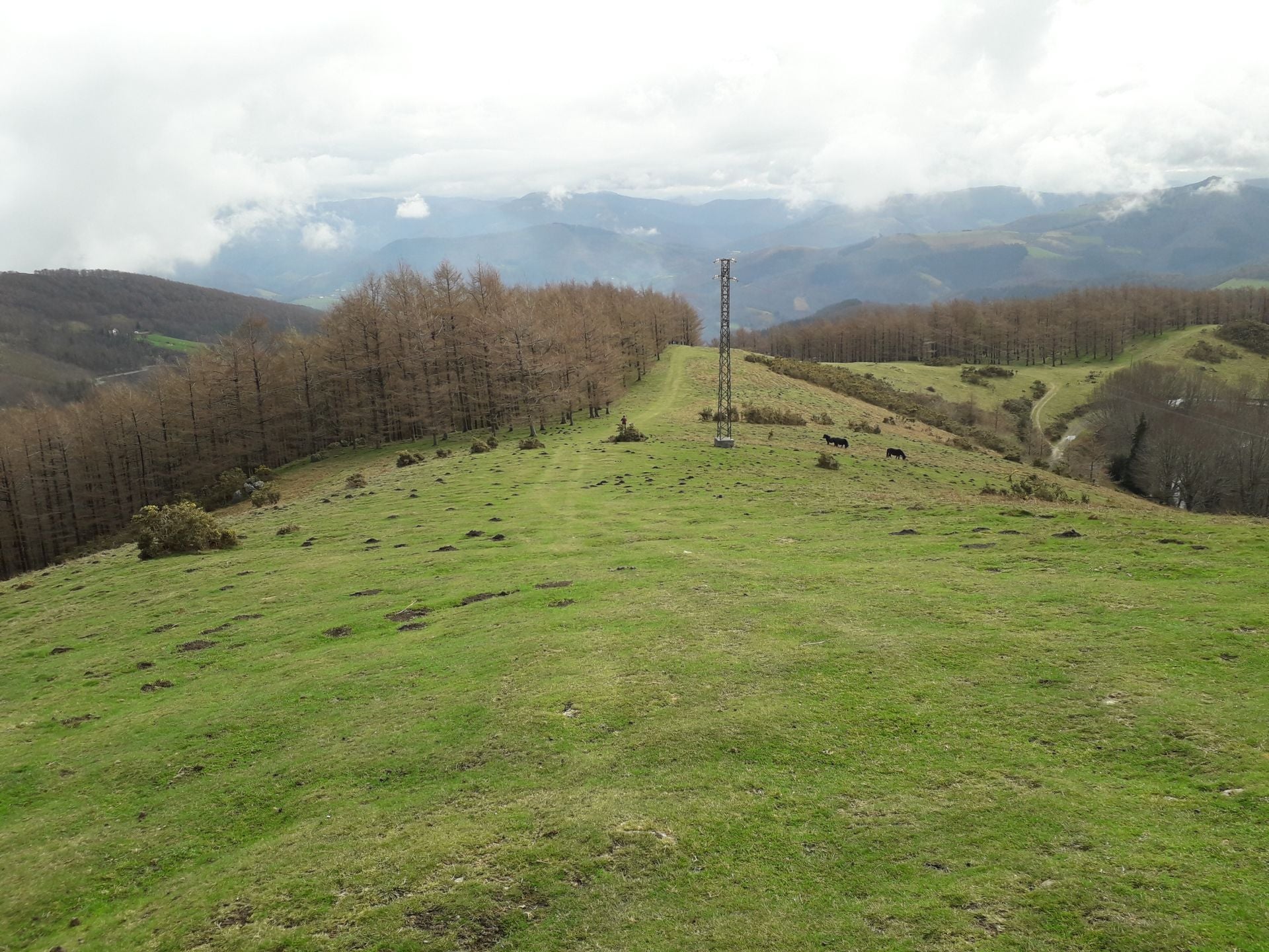 Las mejores imágenes de la ruta a Agiña