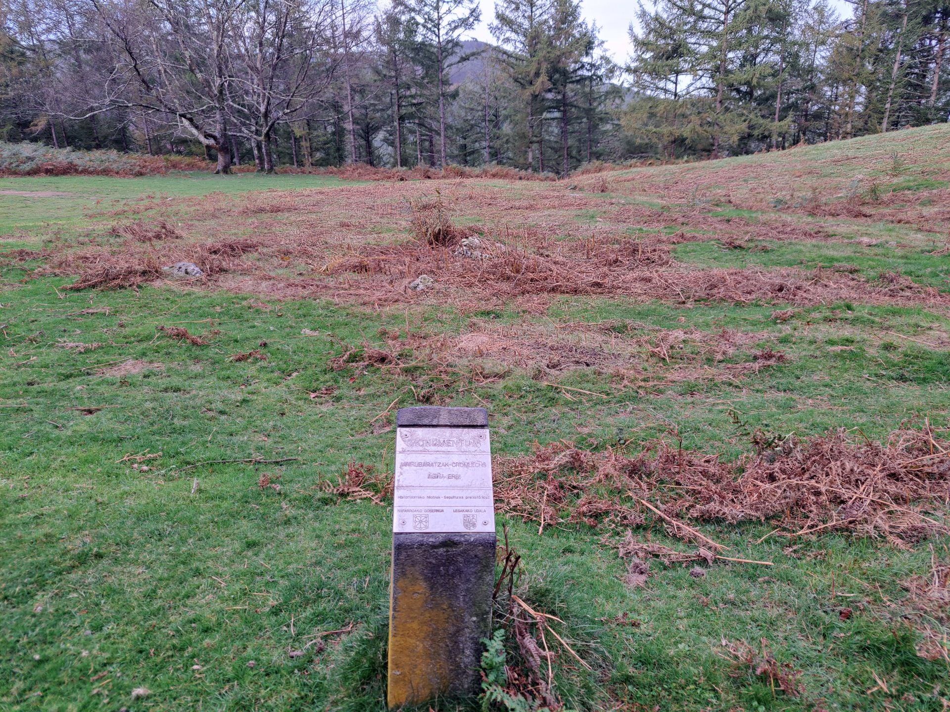 Las mejores imágenes de la ruta a Agiña
