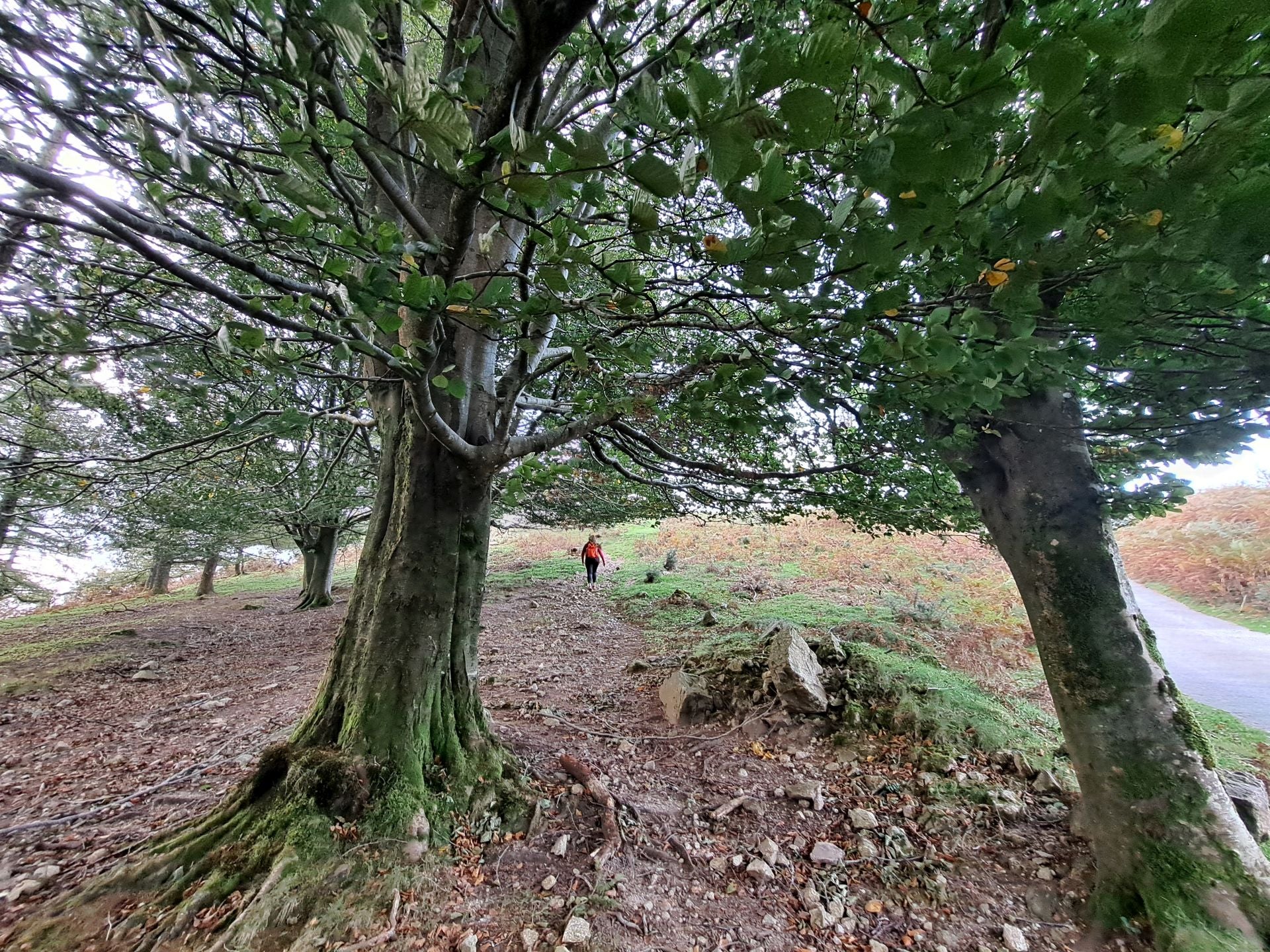 Las mejores imágenes de la ruta a Agiña