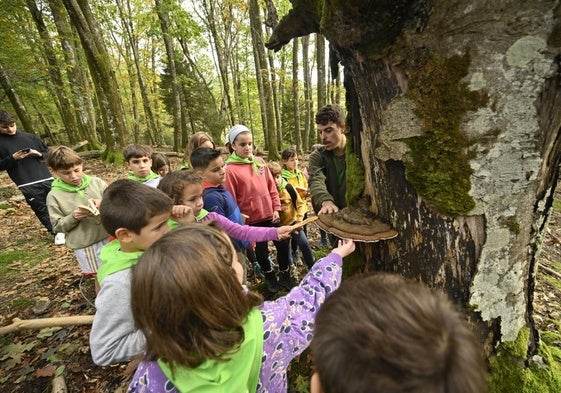 Unai Fernandes, de Aranzadi, explica a los niños una de las especies de hongo que hallaron en un árbol y que no era comestible.