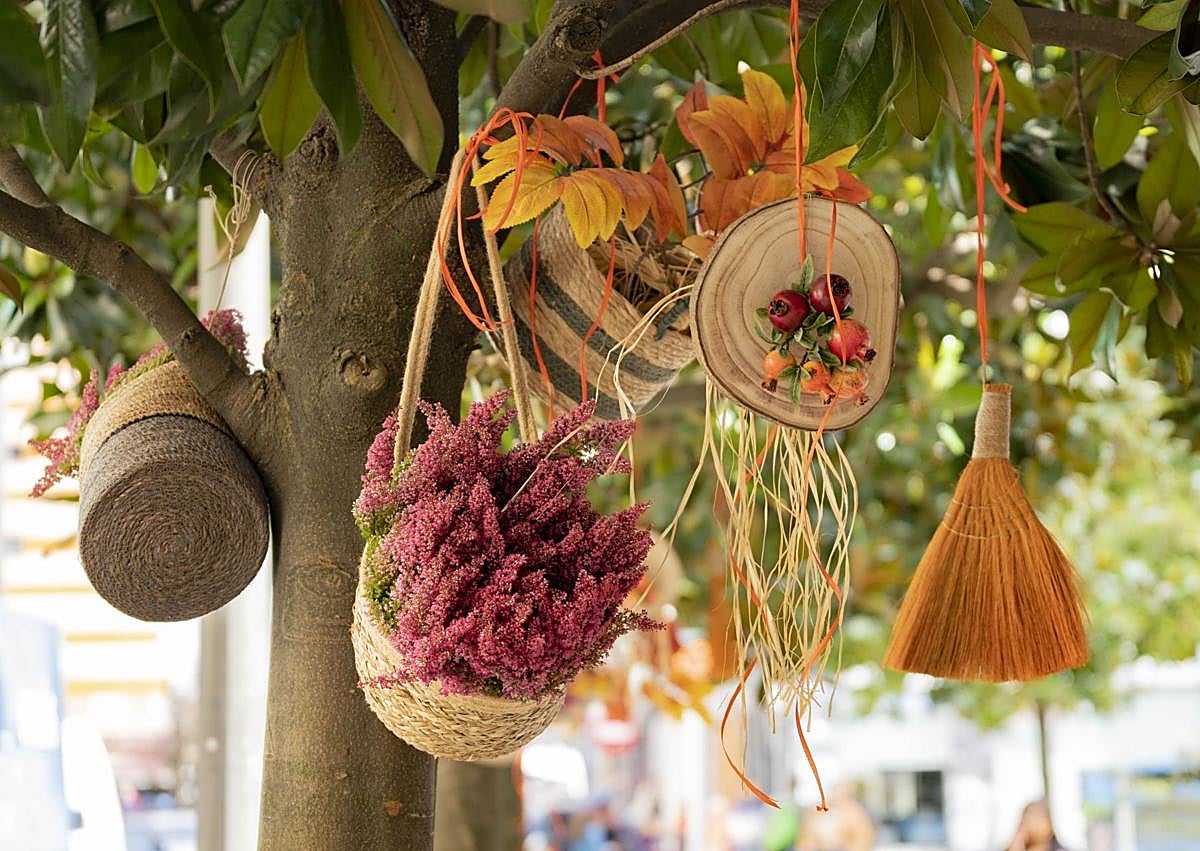 Imagen secundaria 1 - &#039;Open Dendak&#039; impulsa el sector comercial de Donostia con decoración otoñal y navideña