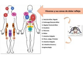 Fisiogenómica: tu ADN en la mesa