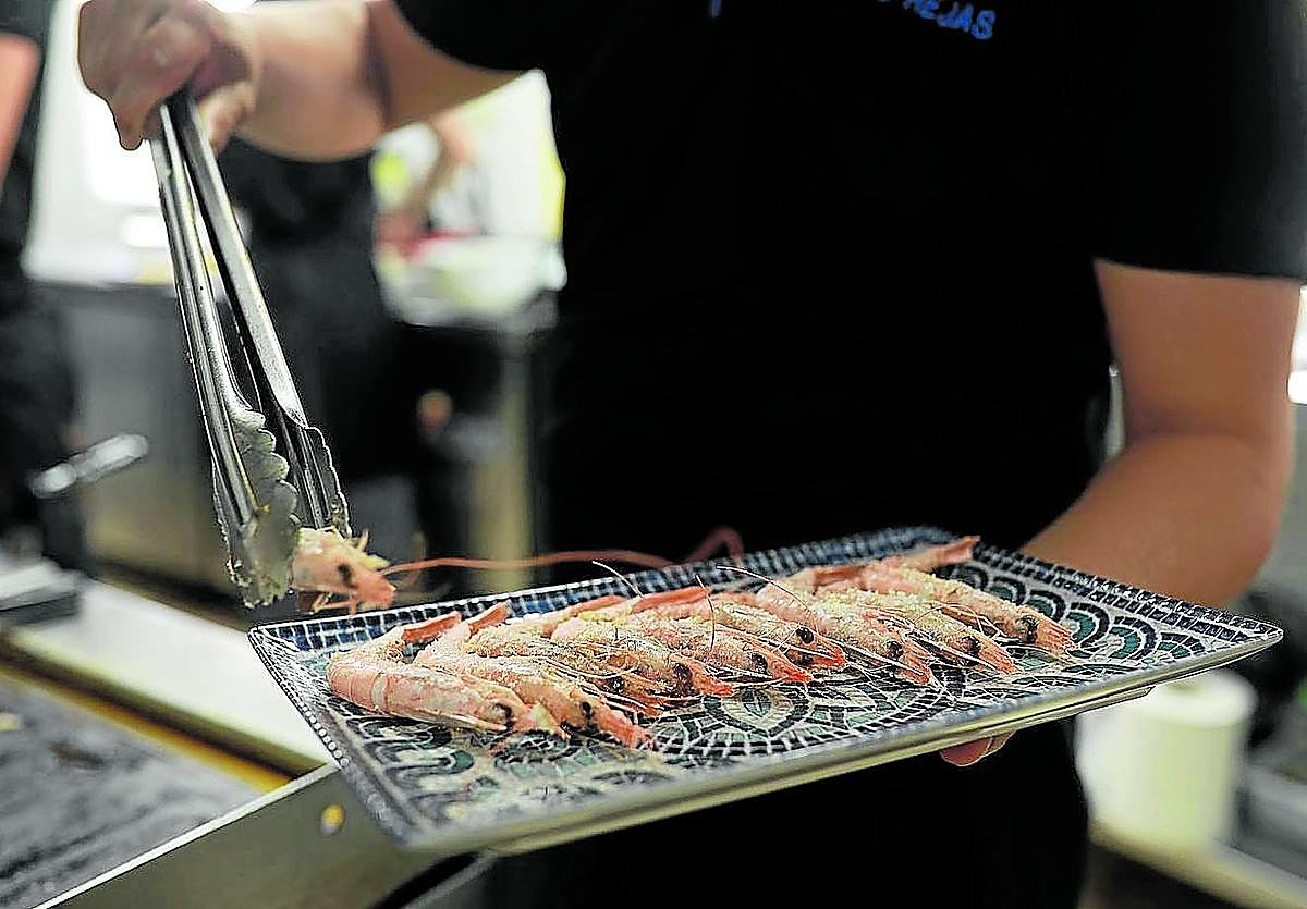 En la playa de Bolonia desde 1985