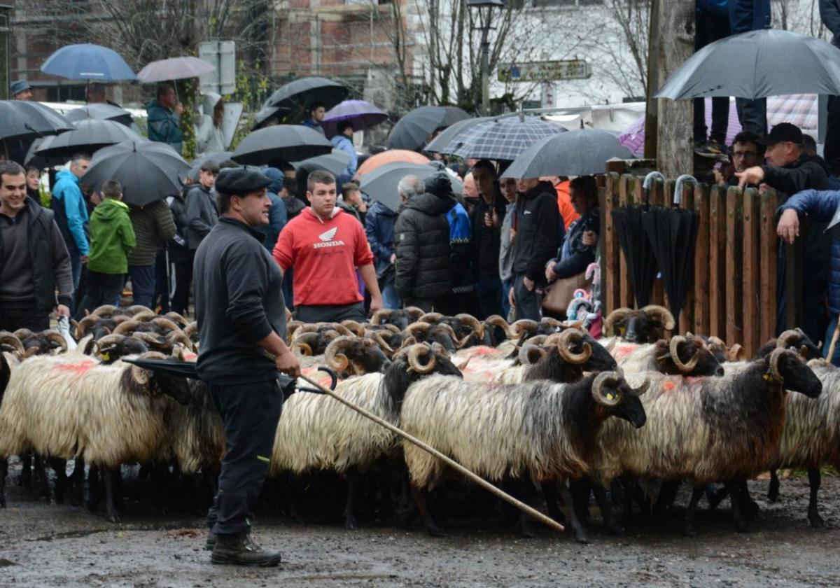 Cada vez más personas se reúnena primera hora para ver la entrada de ganado.