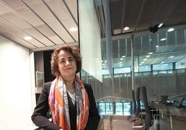 Ana Ugalde, directora adjunta de la Cámara de Gipuzkoa, en Donostia.