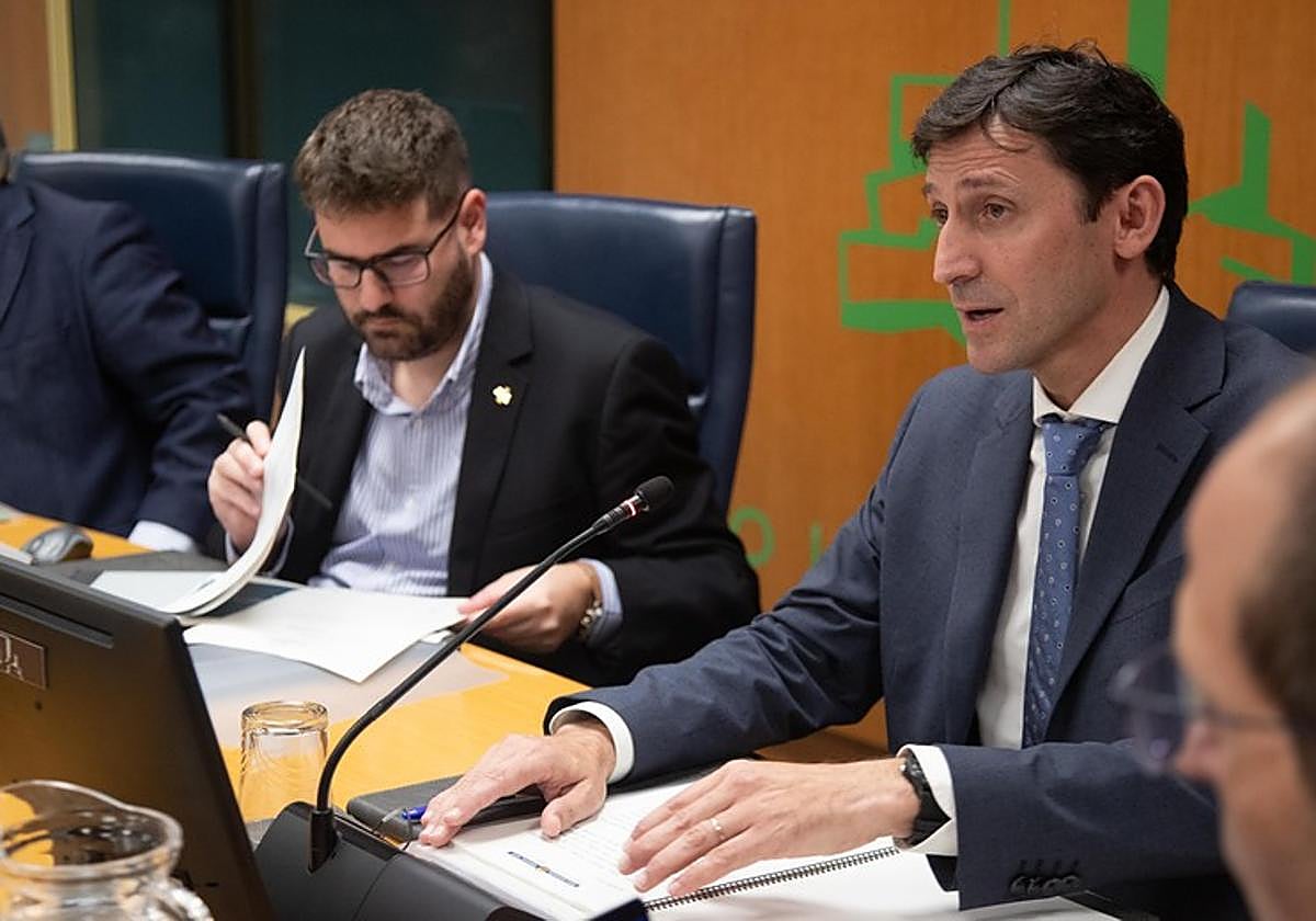 Noël d´Anjou en el Parlamento Vasco.