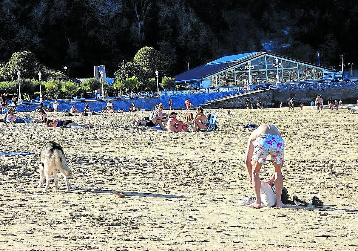 Javier nos hace su aportación a la polémica sobre si se debe admitir la presencia de mascotas en las playas. Esta escena fue captada la semana pasada. «Ahora mismo, en Ondarreta, este perro le acaba de robar el bocata a una pareja de extranjeros. Y el dueño del animal ni aparece».