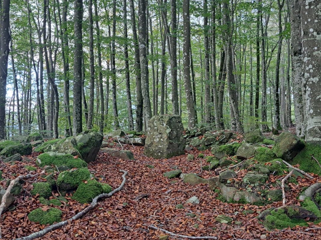 Irumugeta, el silencio absoluto entre gigantes