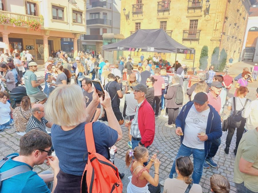 El txakoli eguna, en imágenes