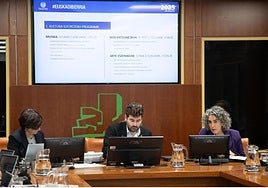 La consejera de Cultura y Política Lingüística, Ibone Bengoetxea, en su comparecencia de ayer.