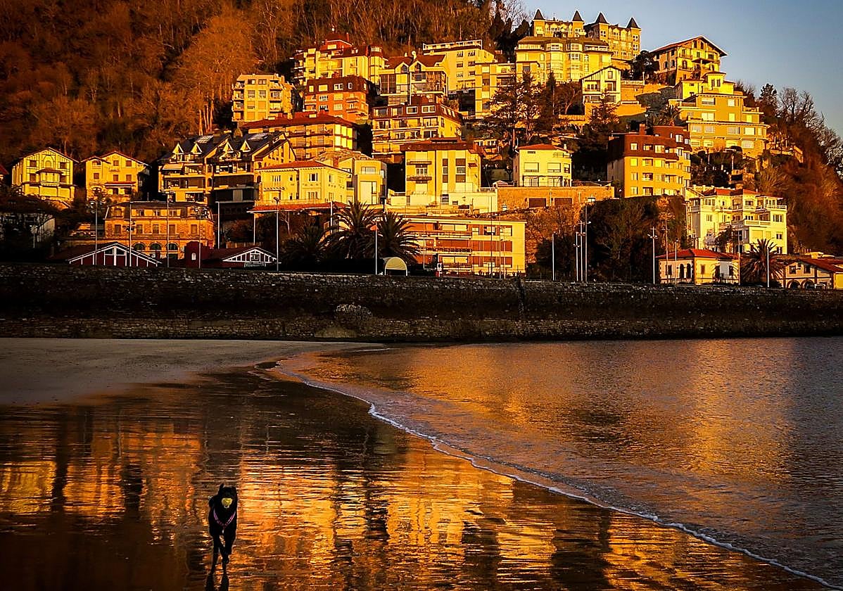 Un perro corretea por la playa de Ondarreta.