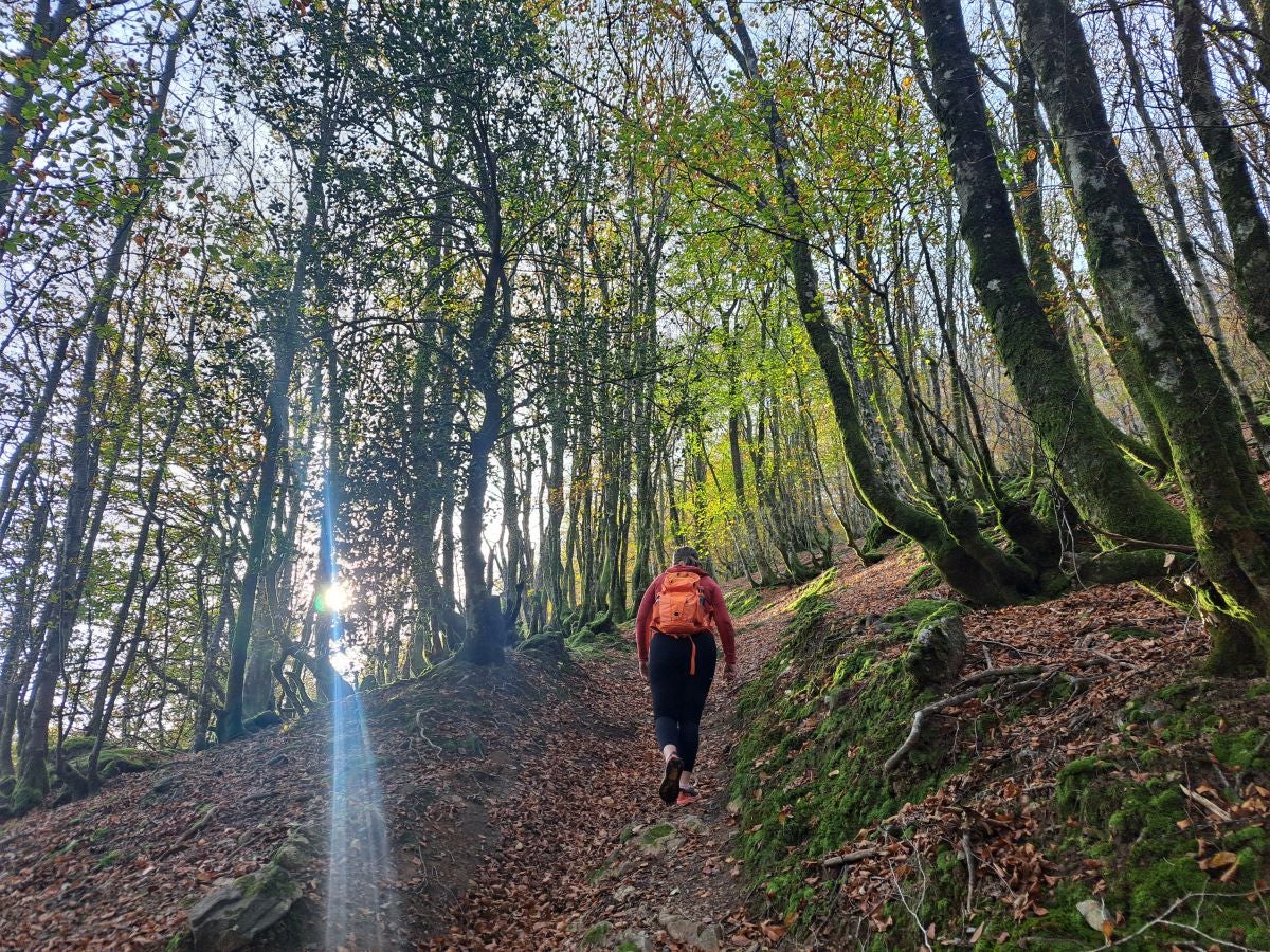 Hautza, una cima navarra vistas espectaculares