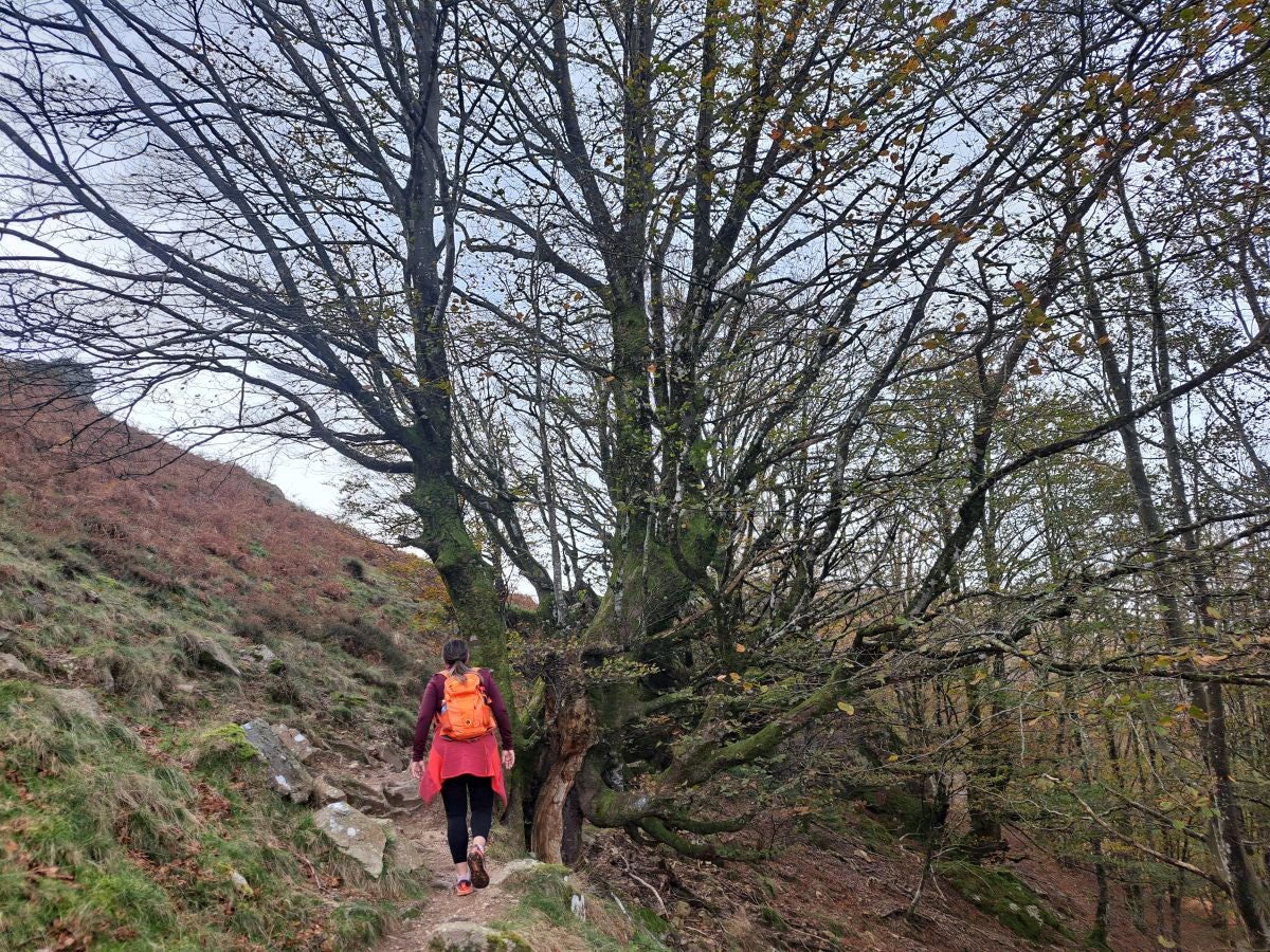 Hautza, una cima navarra vistas espectaculares