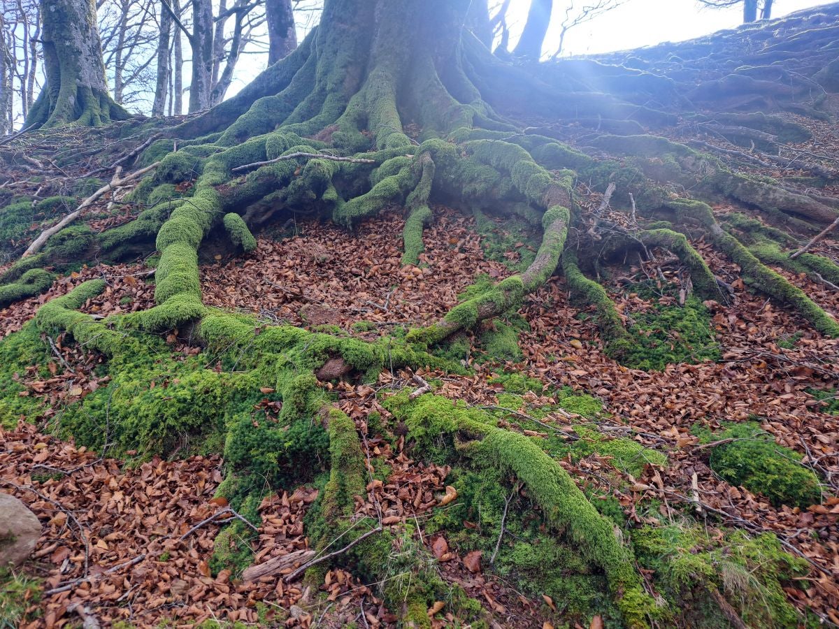 Hautza, una cima navarra vistas espectaculares