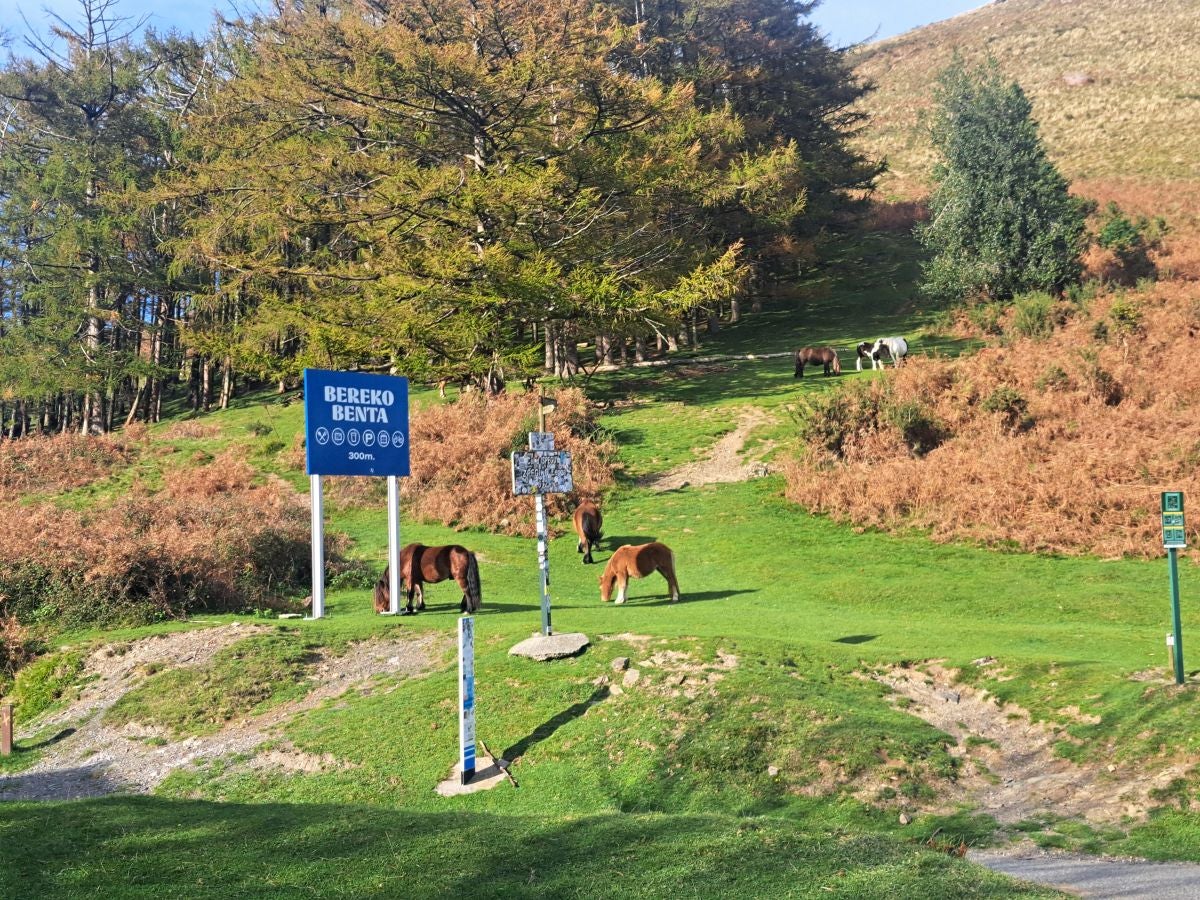 Hautza, una cima navarra vistas espectaculares