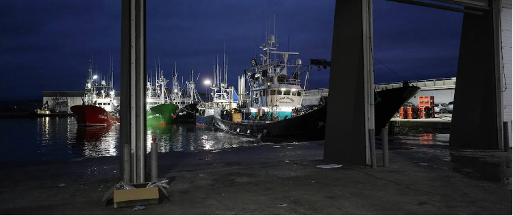 Barcos de pesca de bonito, al alba en el puerto de Hondarribia hace unos días para efectuar una descarga.