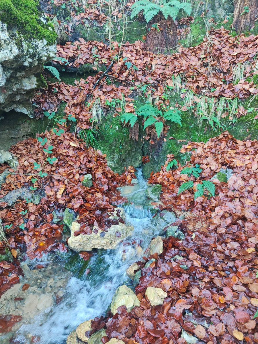 La belleza natural de Txumardegi