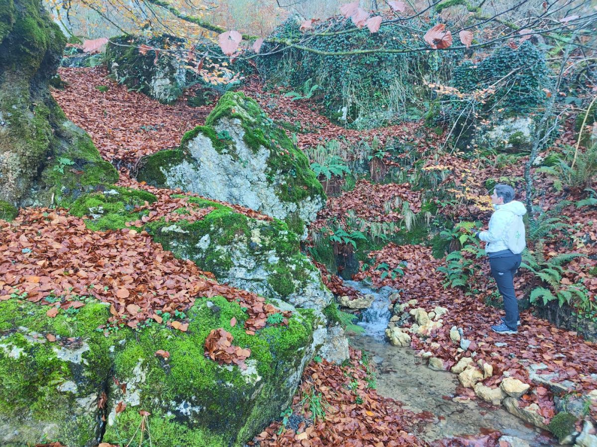 La belleza natural de Txumardegi