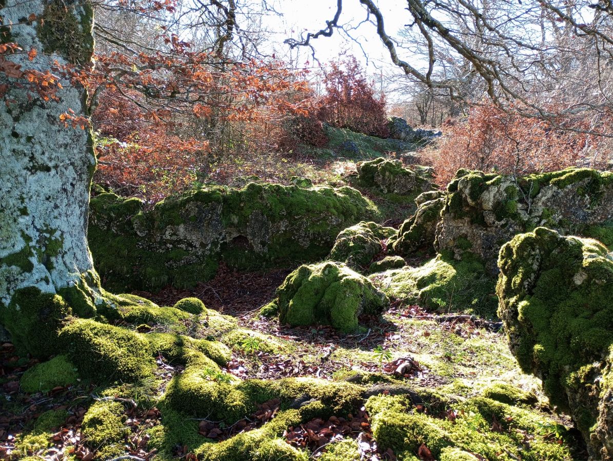 La belleza natural de Txumardegi