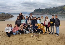 Aparece una tortuga muerta en la playa de Malkorbe