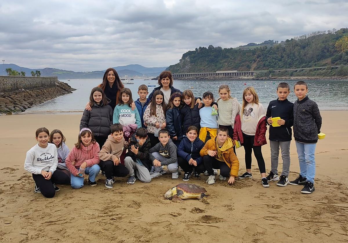 Aparece una tortuga muerta en la playa de Malkorbe